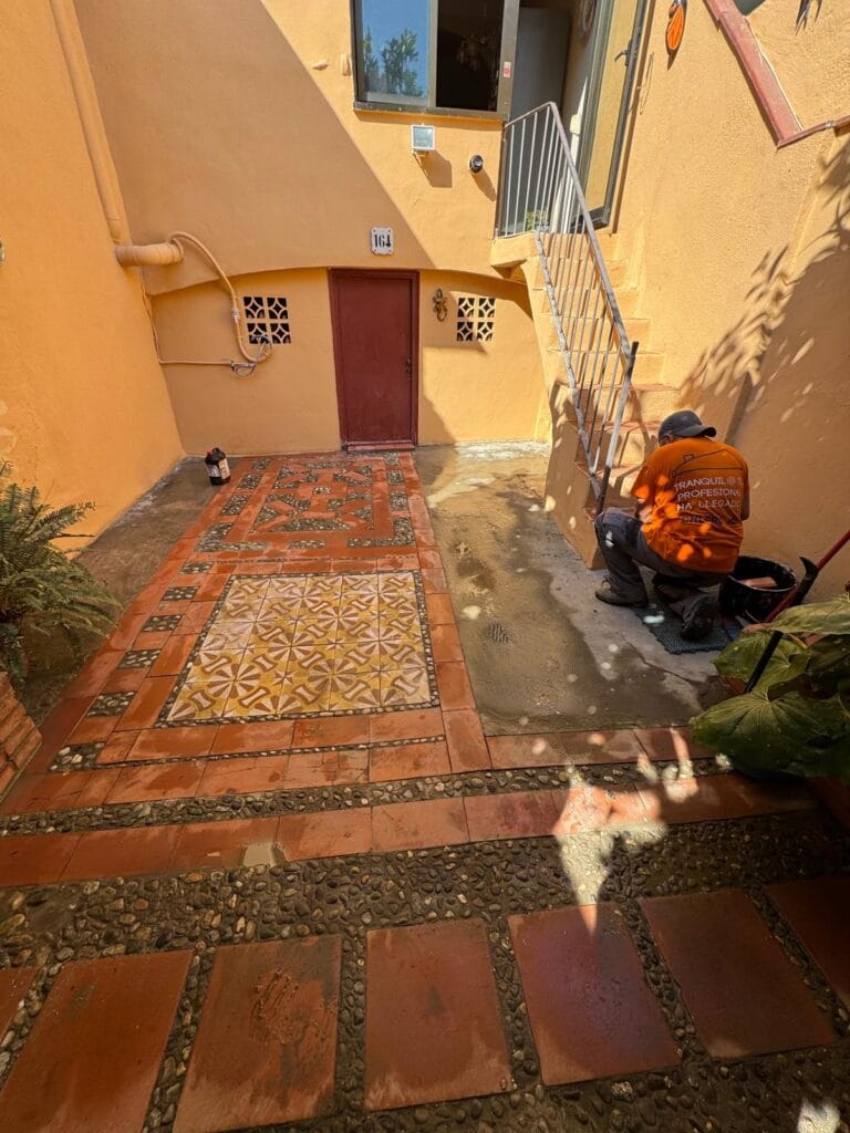 WhatsApp Image 2025-07-01 at 11.05