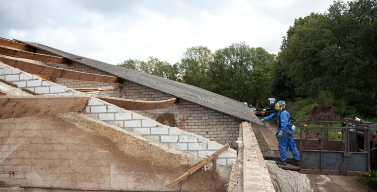 importancia de la retirada de uralita