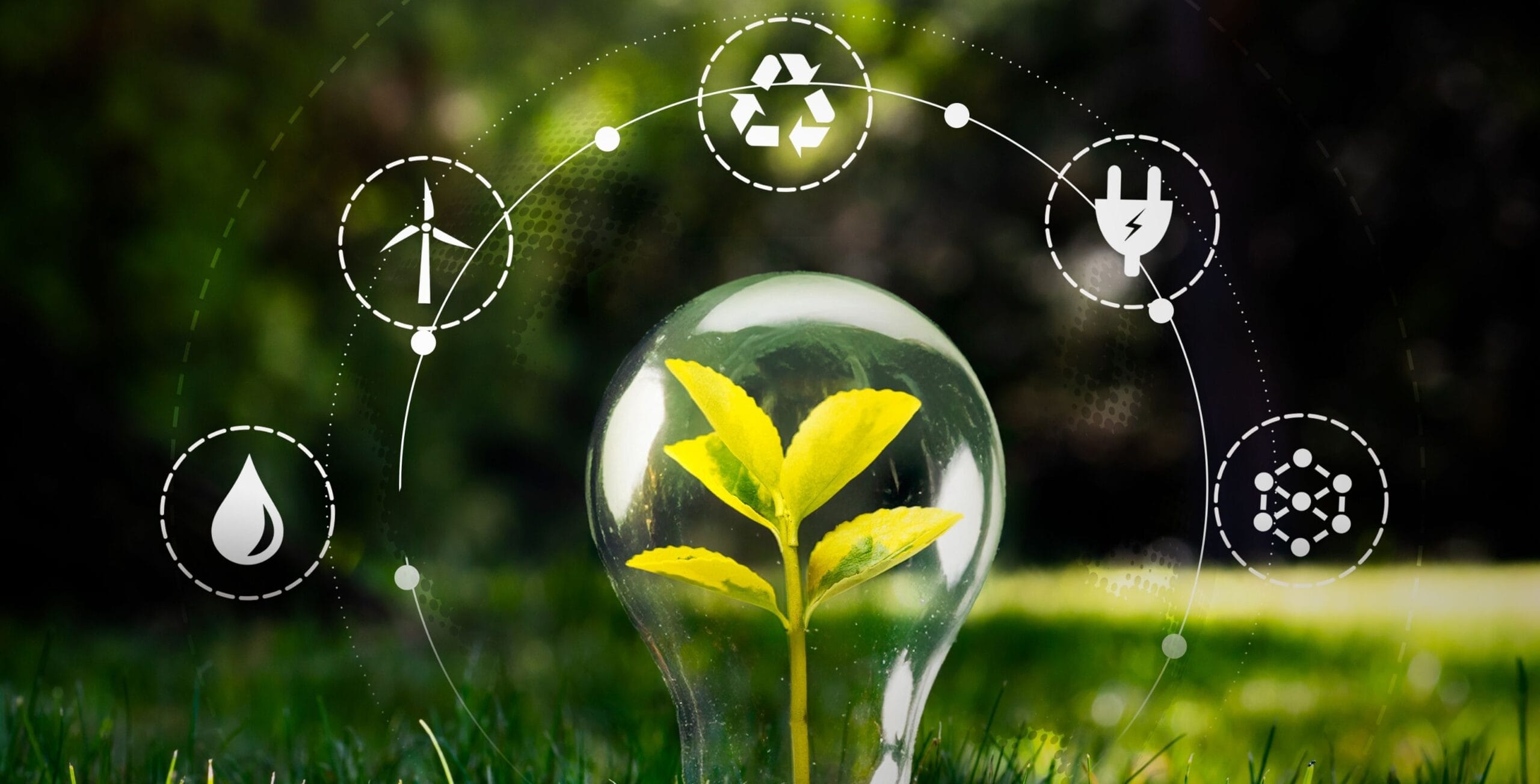 Beneficios de aprovechar estas ayudas