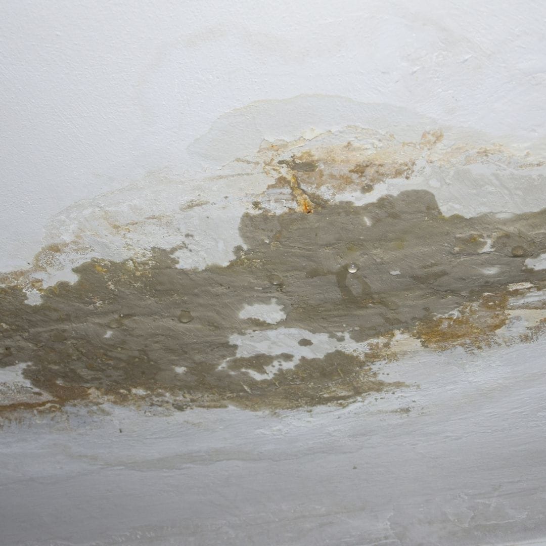 humedades en el techo