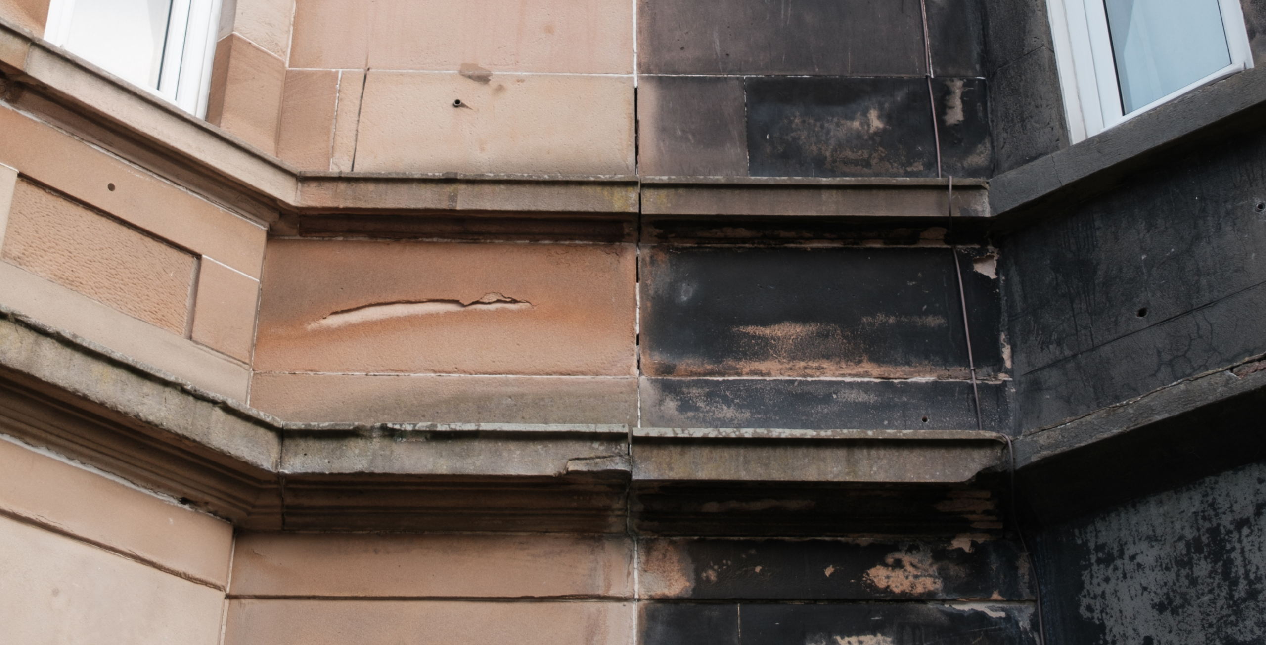 Apostar por la sostenibilidad