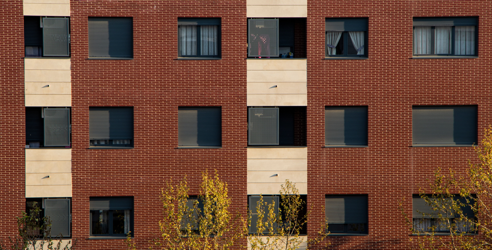 Art. Qué es libro del edificio_Cóm puede