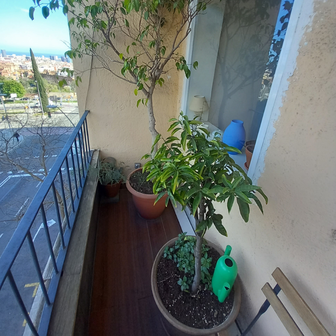 Terraza en Carrer Cartagena_06