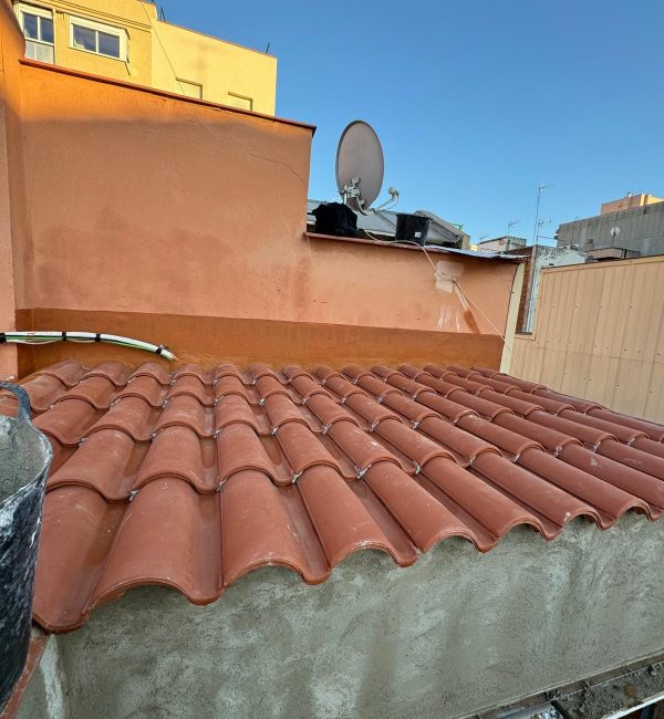 Copia de IMG-20241202-WA0004