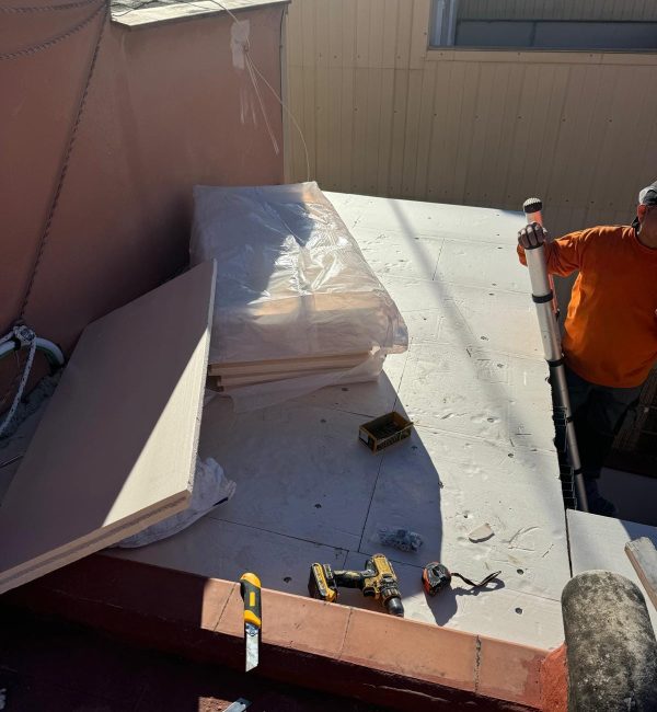 Copia de WhatsApp Image 2024-11-22 at 12.23.12 (3)