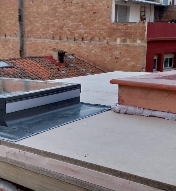 Copia de WhatsApp Image 2024-11-25 at 08.43.26